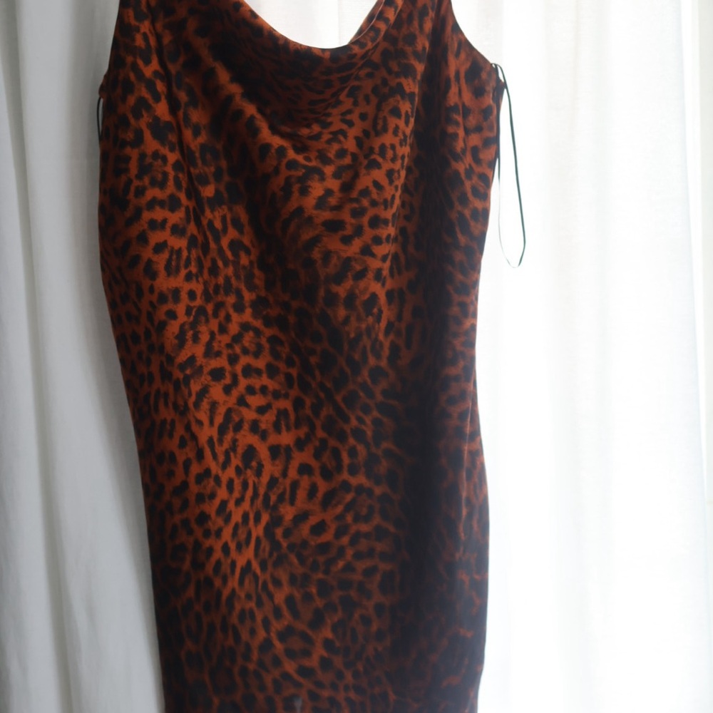 Zara Animal Print Dress